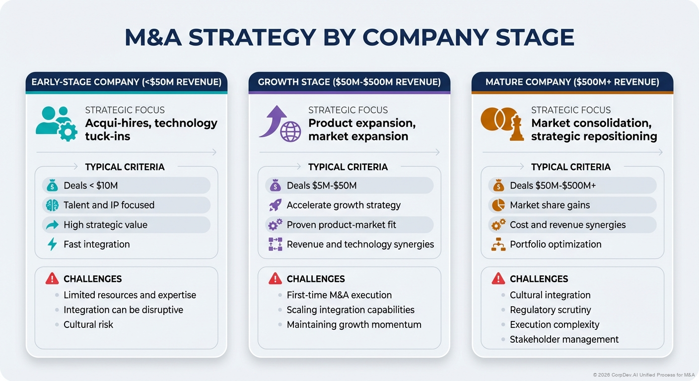 M&A Strategy by Company Stage - Visual Overview